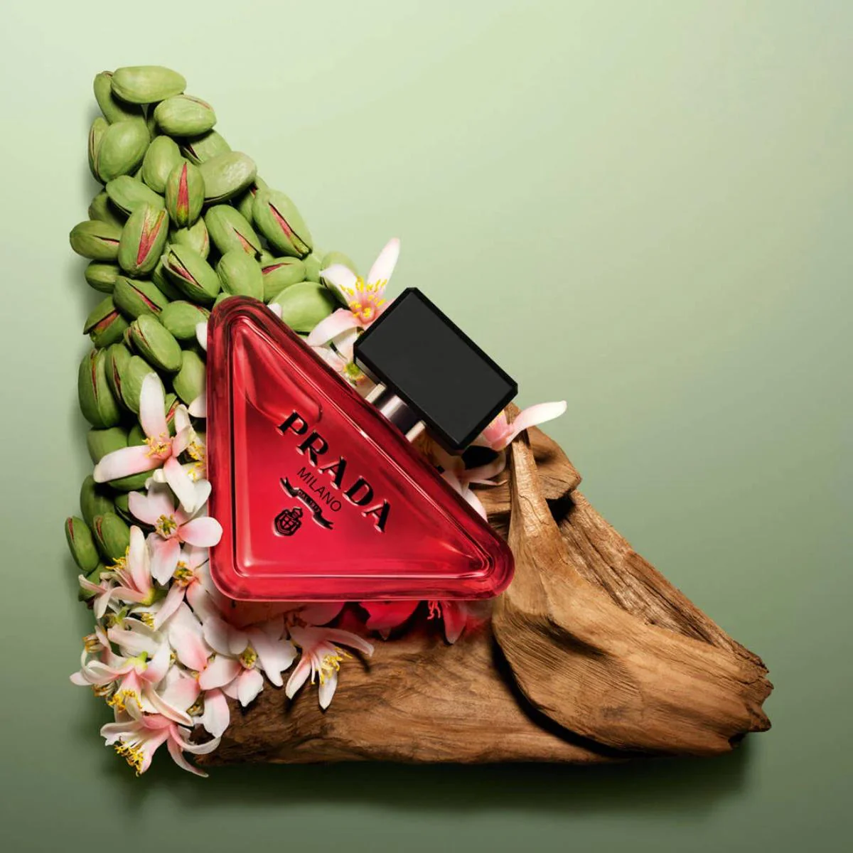 Paradoxe Radical Essence Parfum - Image 10