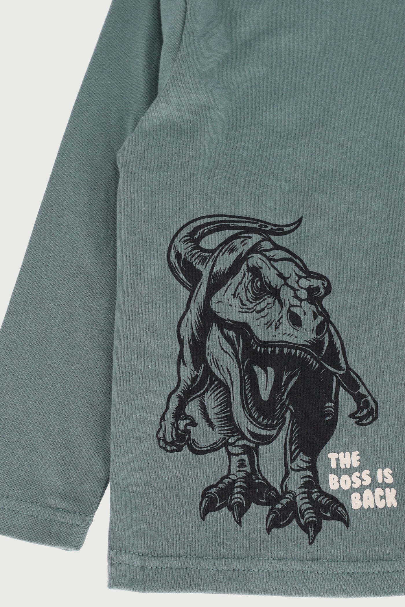 Pre-Boys 2 Pack Long Sleeve Dino Tee - Teal/Black - Image 2