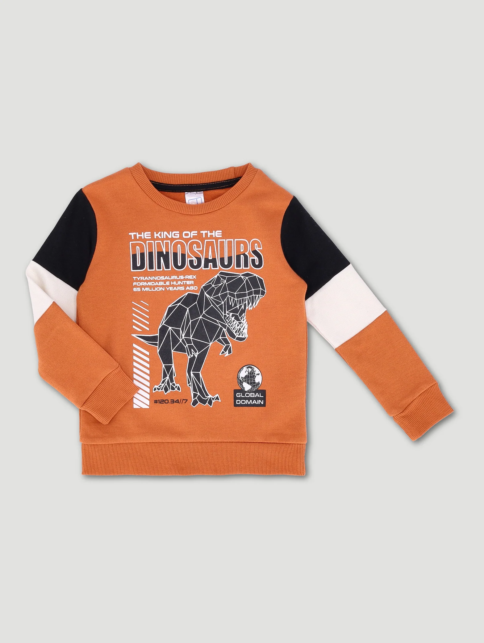 Pre-Boys Dino Colourblock Hoody - Rust - Image 2