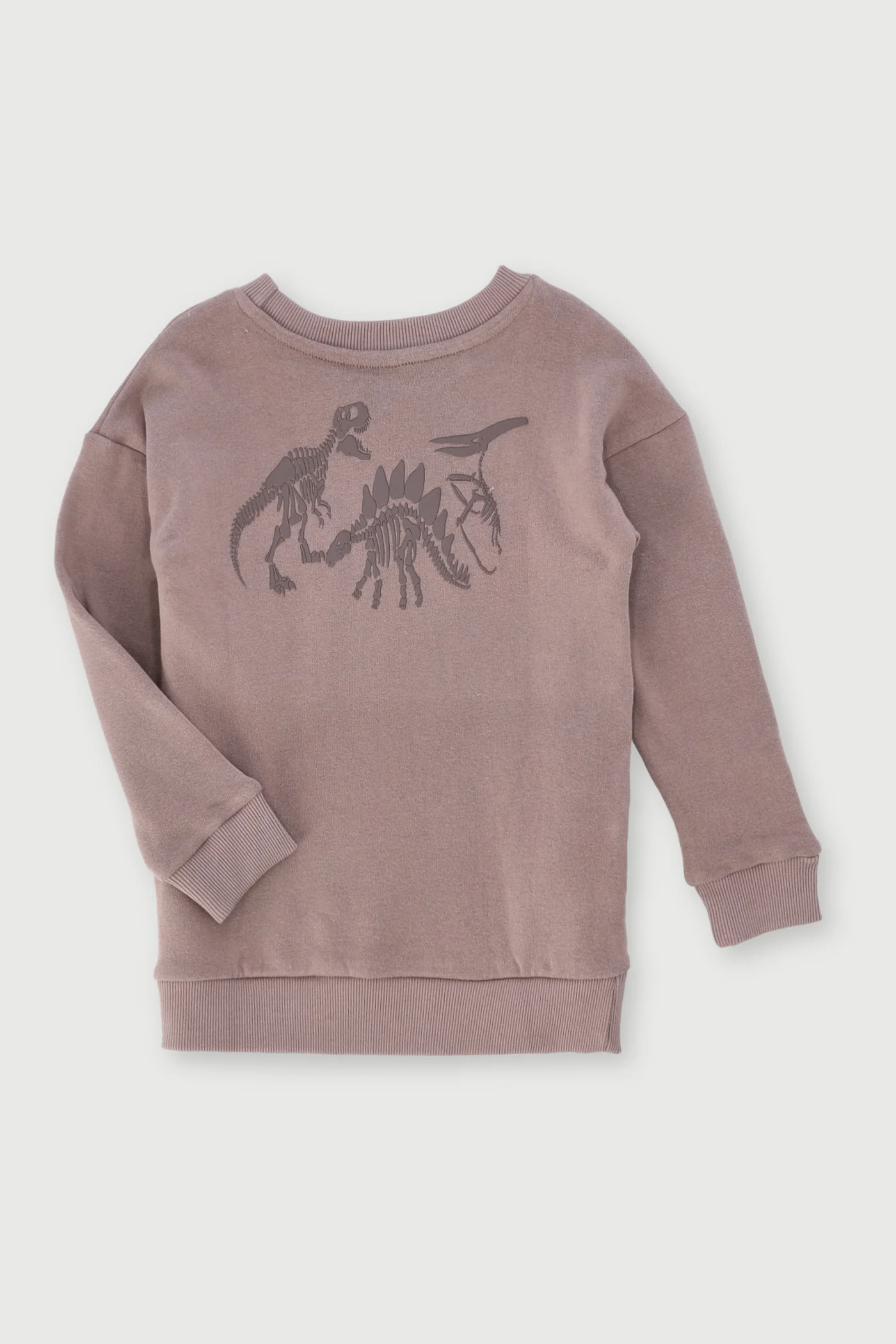 Pre-Boys Dino Fleece Crew Top - Taupe - Image 2