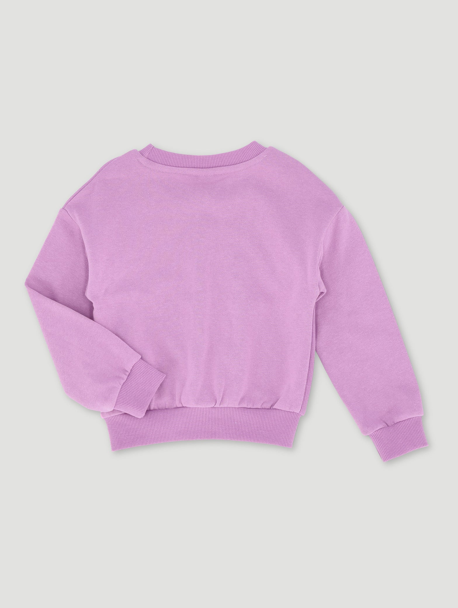 Pre-Girls Basic Track Top Panneled With Embroidery - Purple - Image 2
