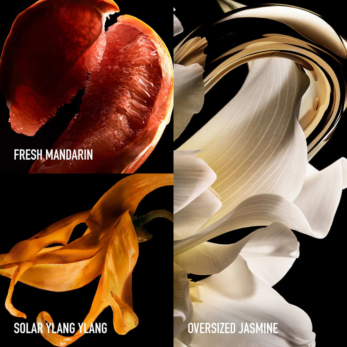 Million Gold For Her Pure Jasmine Eau de Parfum - Image 3