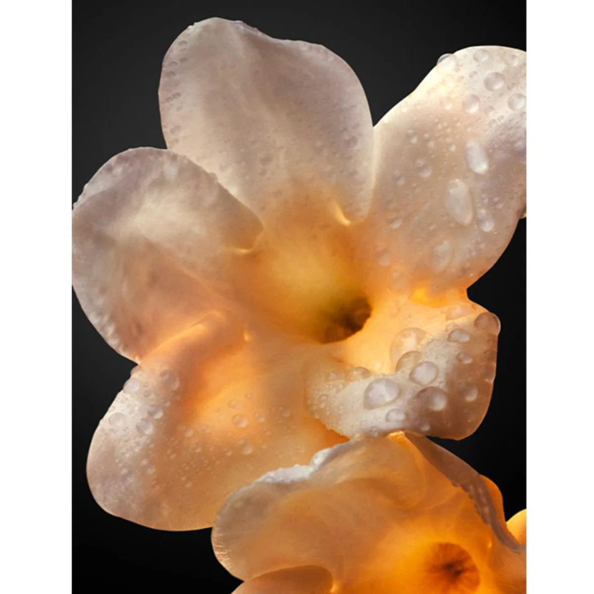 Olympéa Absolu Parfum Intense - Image 7