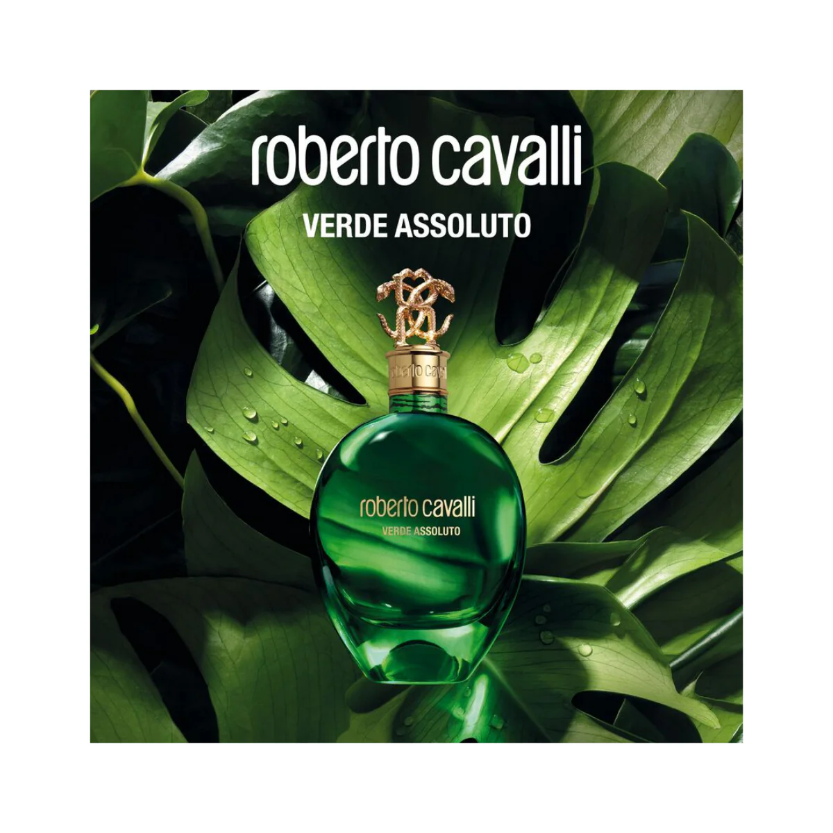 Verde Assoluto Eau De Parfum - Image 4