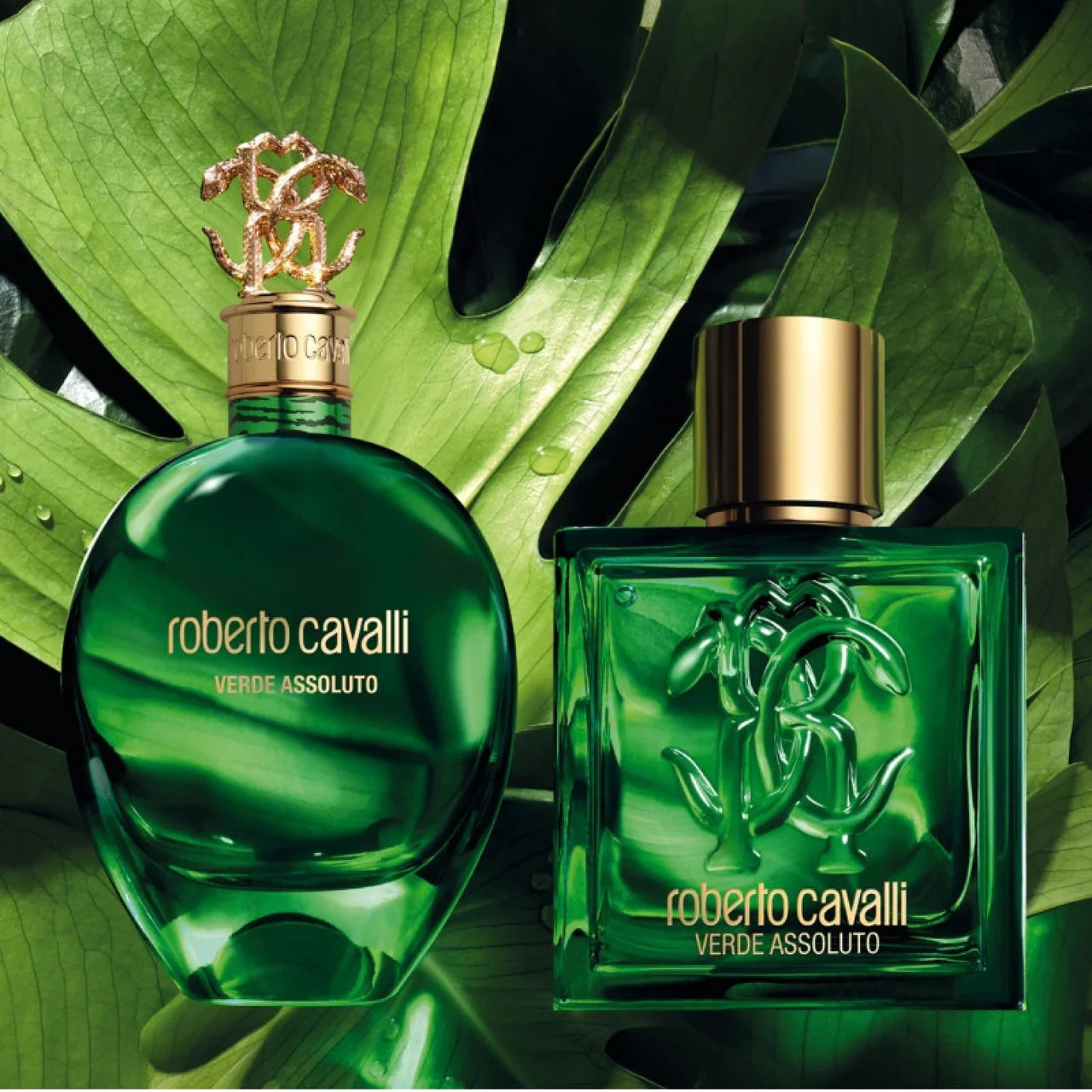 Verde Assoluto Pour Homme - Eau De Parfum - Image 3