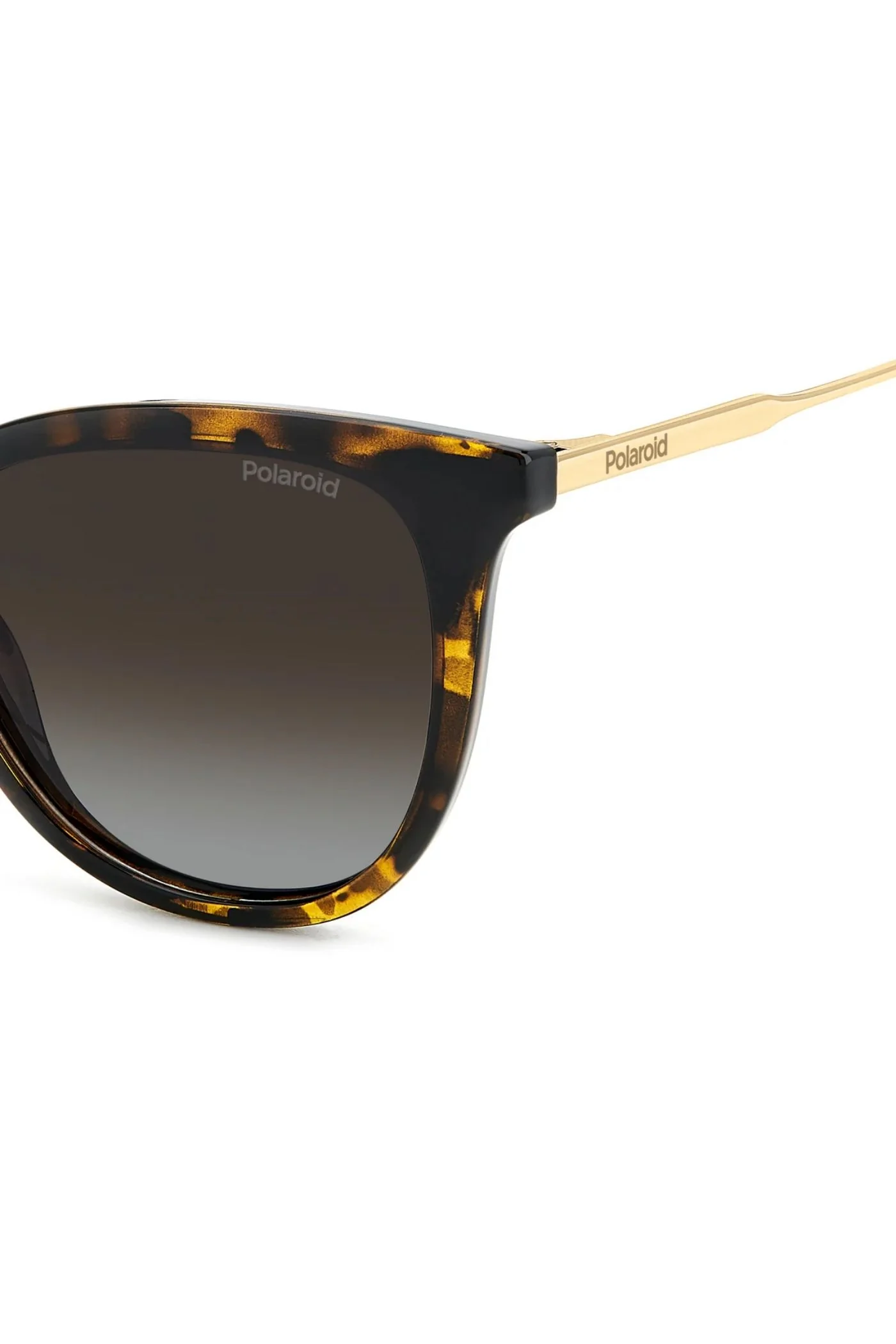 Rectangle Havana Frame Brown Lens - None - Image 4