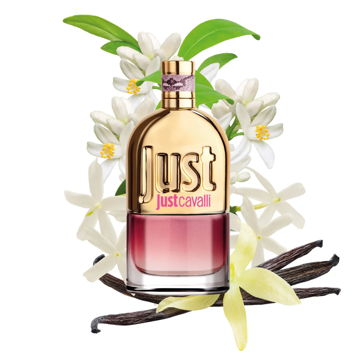Just Cavalli For Her Eau De Toilette - Image 4