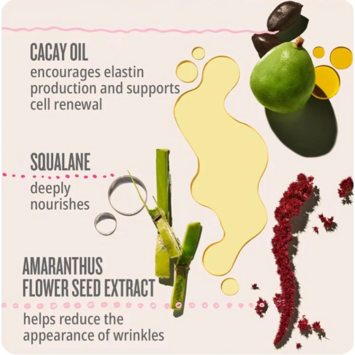 Beija Flor™ Elasti-Body Oil - 100ML - Image 3