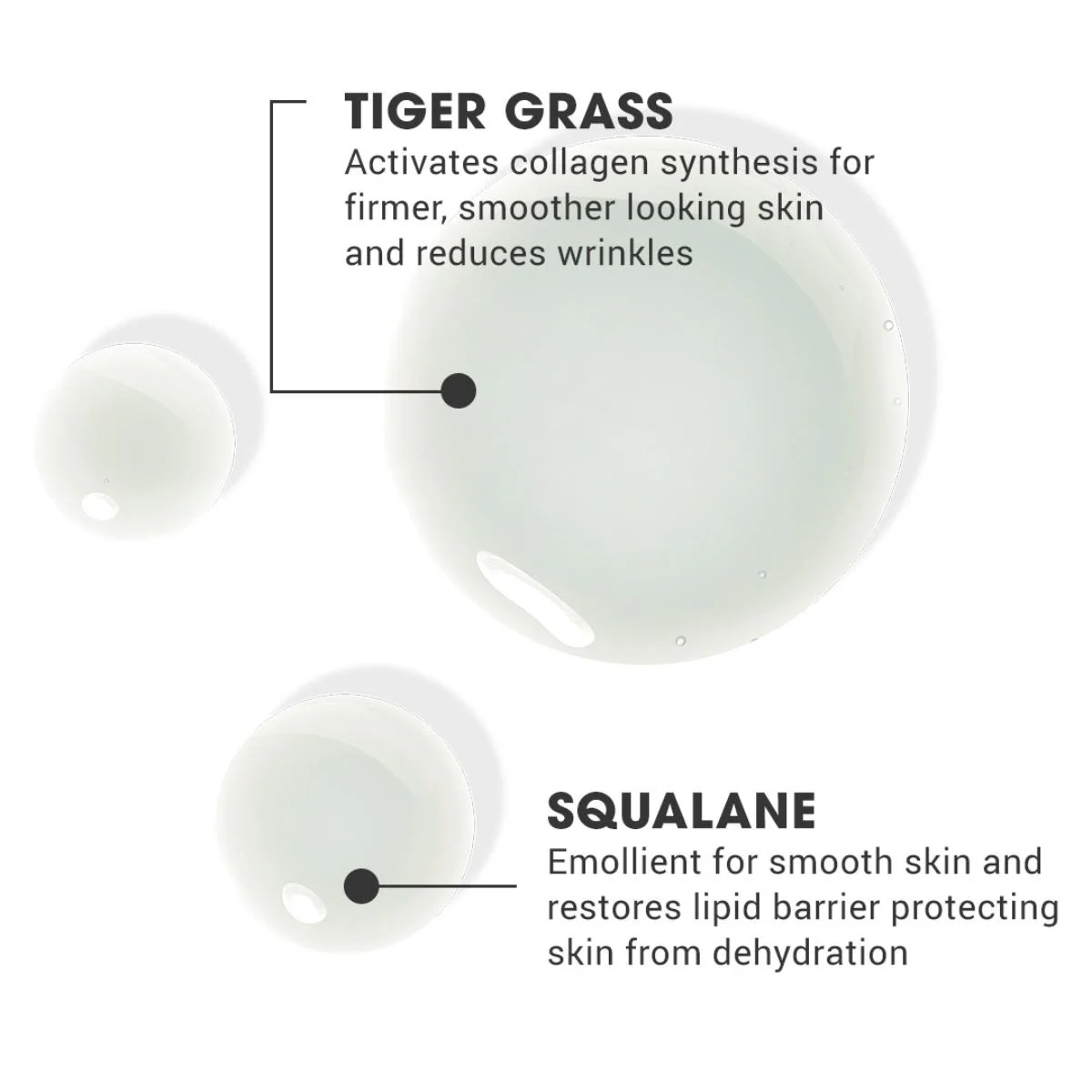 Face 4Ward Pro-Youth Serum - Image 8