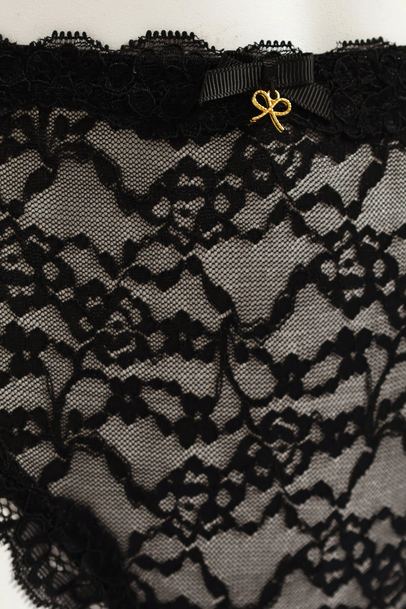 Shiny Microfibre & Lace Front Bikini Panty - Black - Image 2