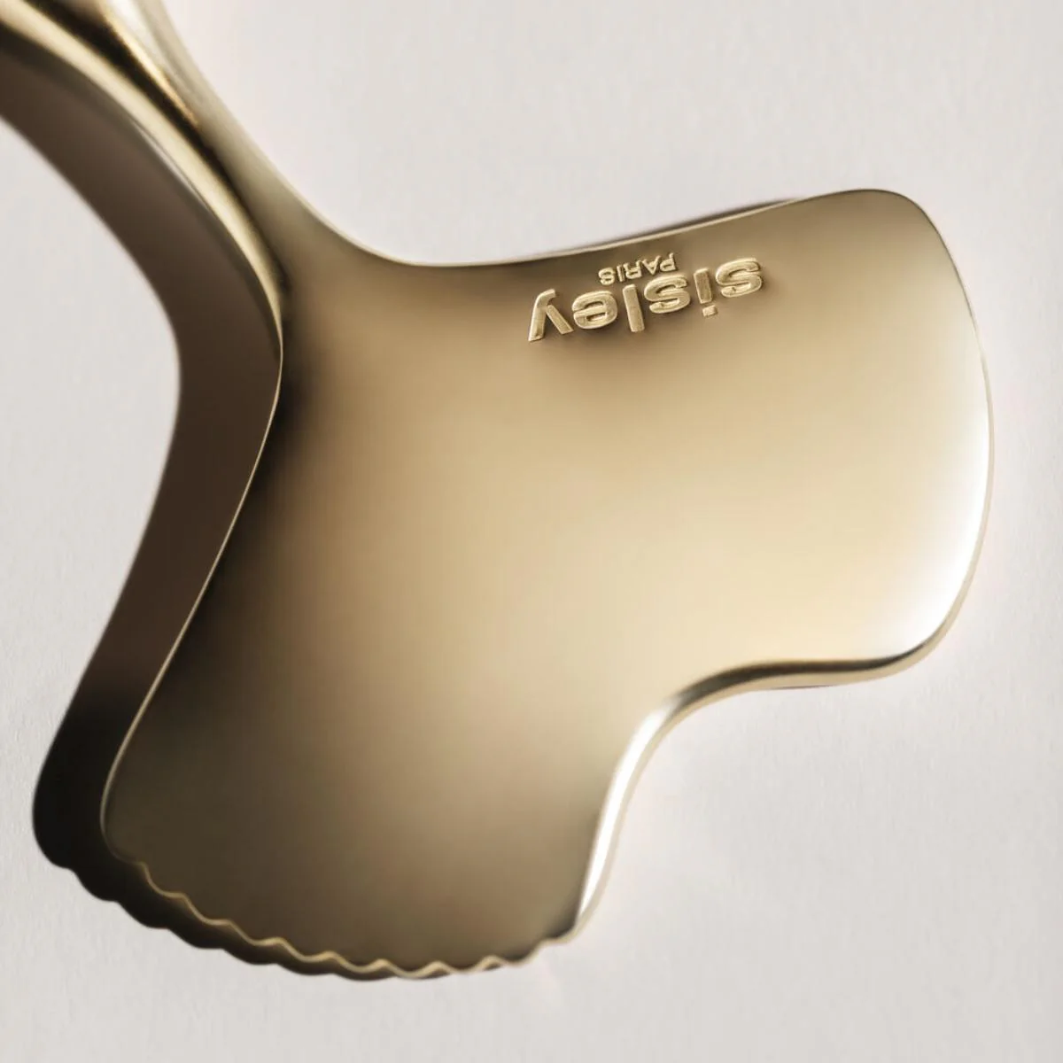 Gingko Gua Sha - Image 8