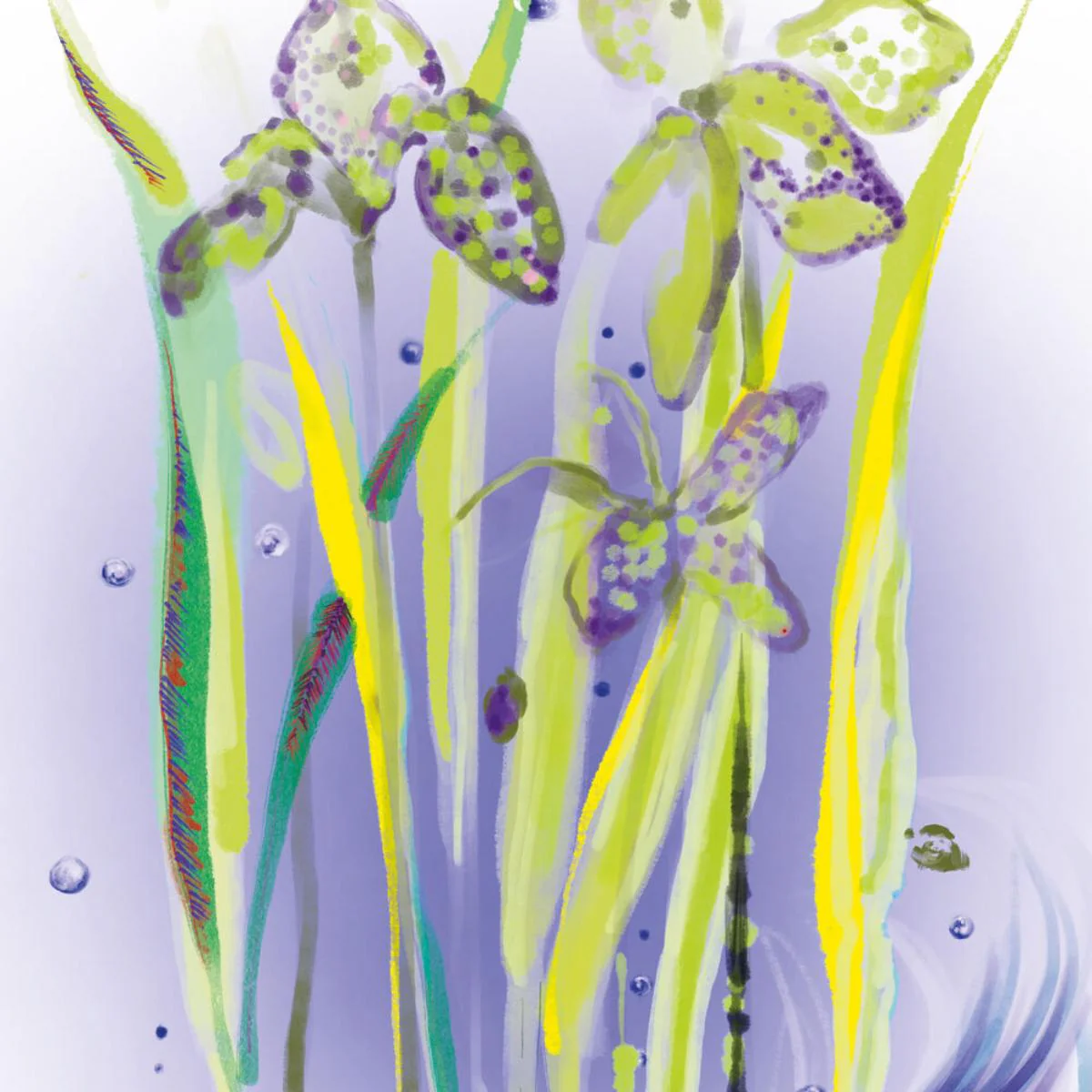 L'Eau Rêvée D'Alma Eau de Toilette - Image 5