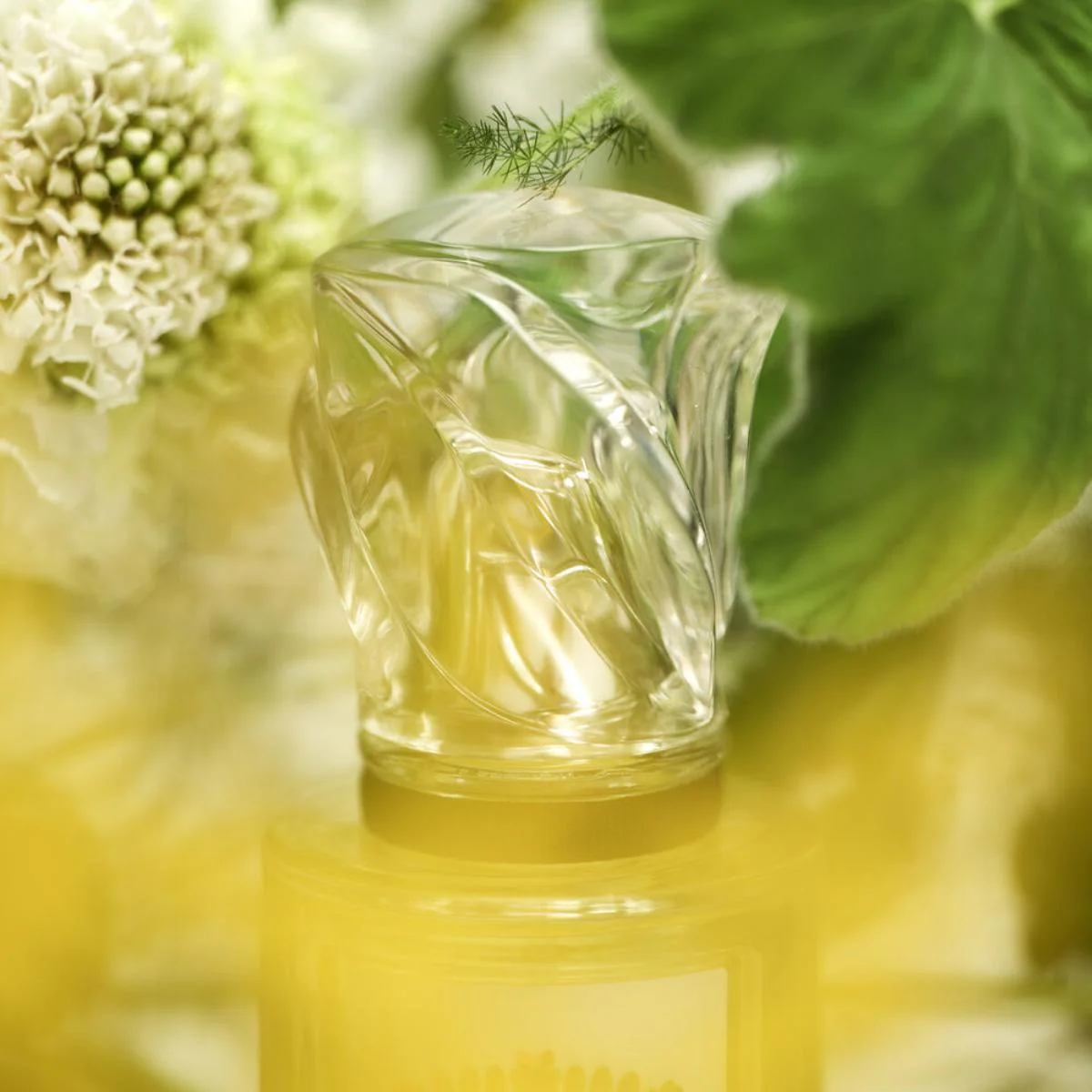 L'Eau Rêvée D'Hubert Eau de Toilette - Image 6