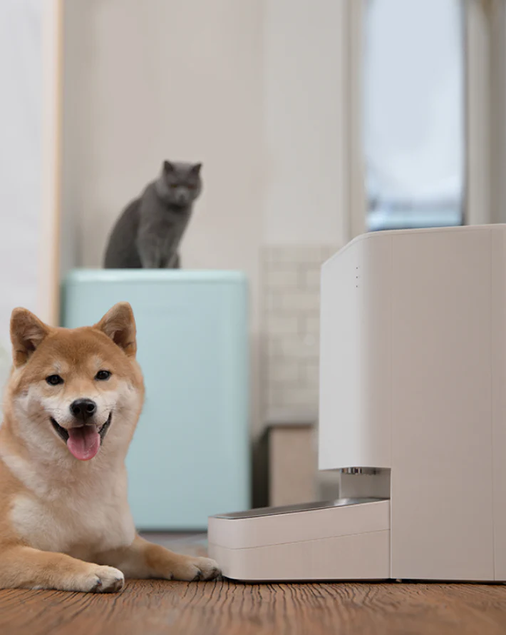SMART PET FOOD FEEDER - Image 4