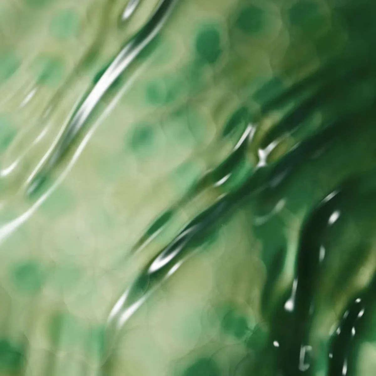 The Concentrate - Image 13