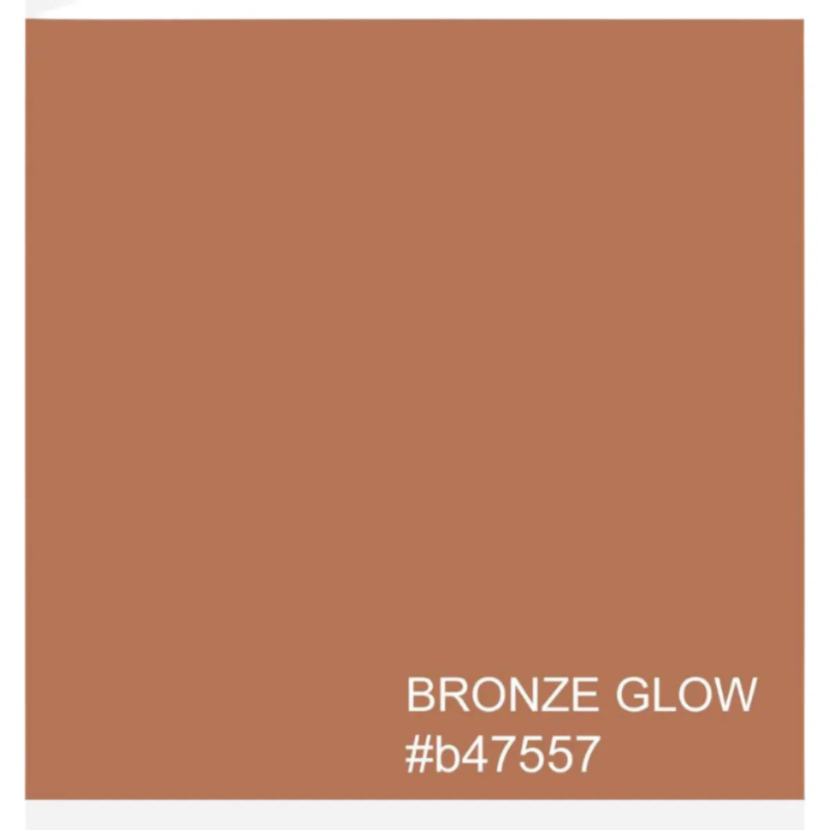Highlighter Powder - Image 3