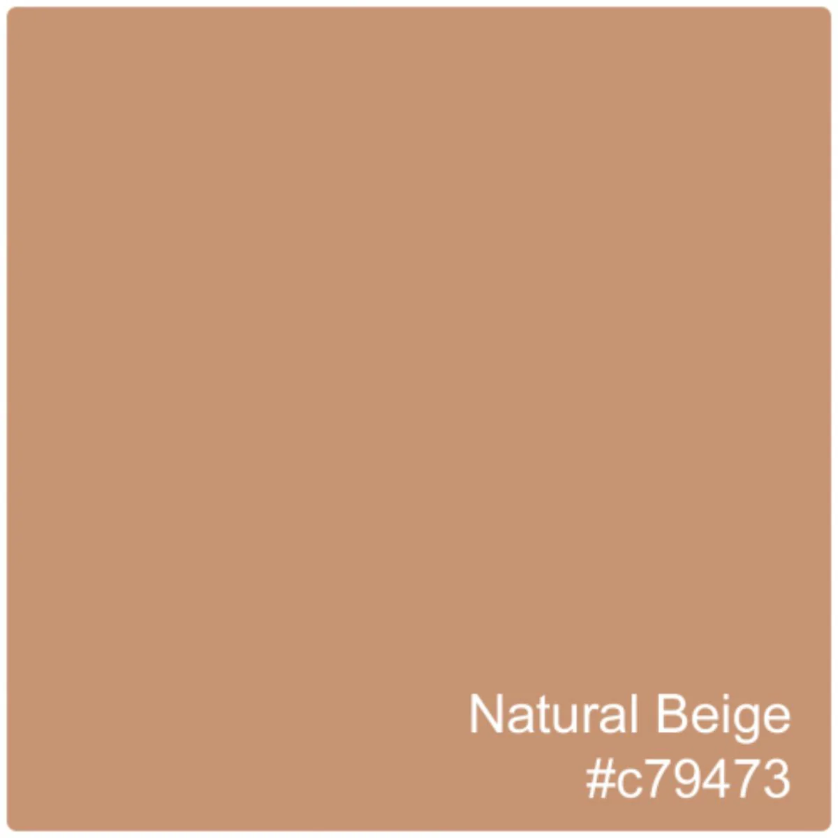 Hydra Tint Foundation SPF25 - 30ML - Image 6