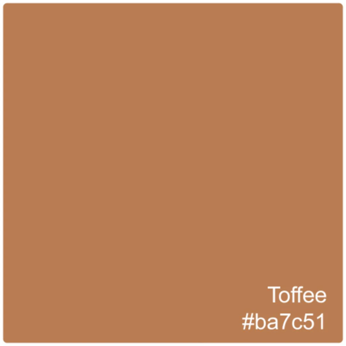 Hydra Tint Foundation SPF25 - 30ML - Image 9