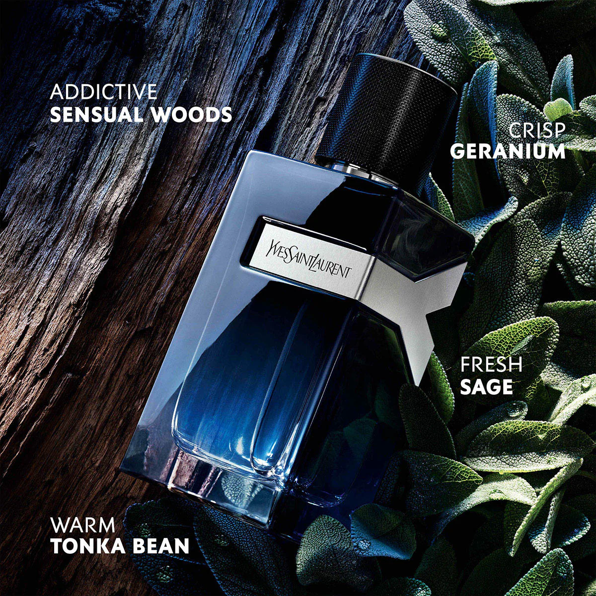 Y Eau De Parfum 100ml Giftset - Image 3