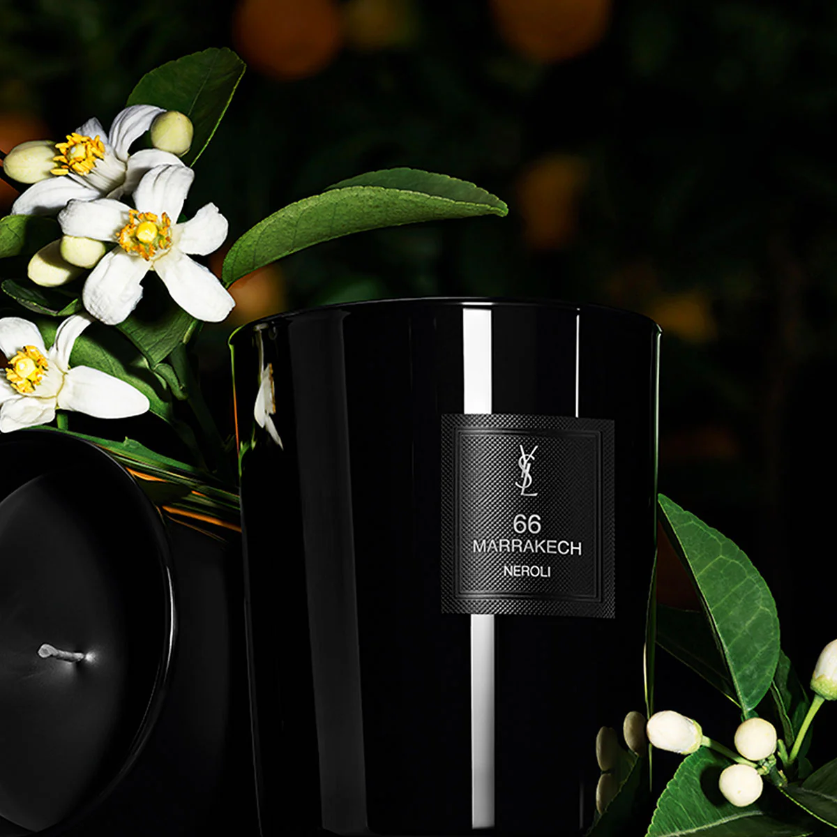 66 Marrakech Candle - Le Vestiaire Des Parfums - 220g - Image 4