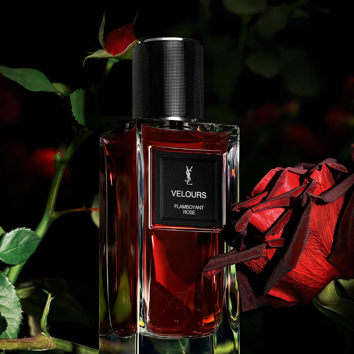 Velour Flamboyant Rose Eau de Parfum - Le Vestiaire Des Parfums - Image 6