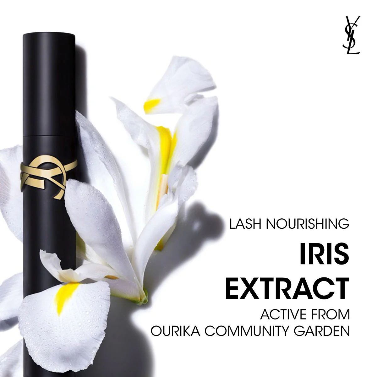 Lash Clash Mascara & Loveshine - Mother's Day 2025 Gift Set - Image 5