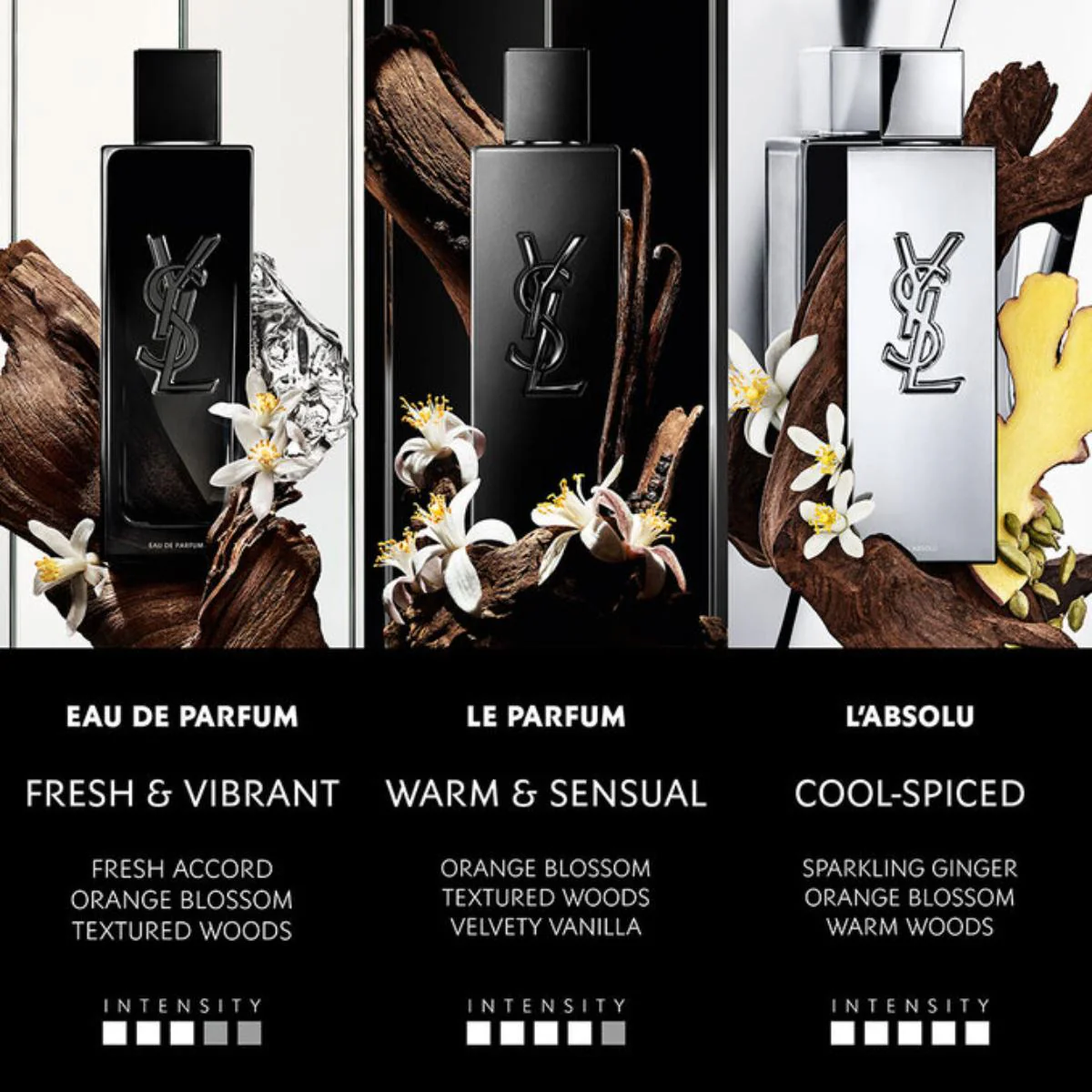 Myslf L'Absolu Homme Parfum - Image 9
