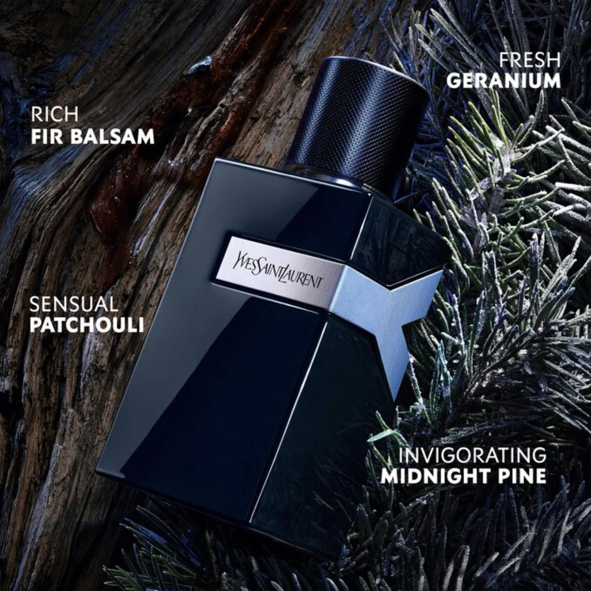 Y Le Parfum - Image 5